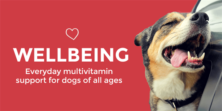 Wellbeing Everyday multivitamin support for dogs of all ages