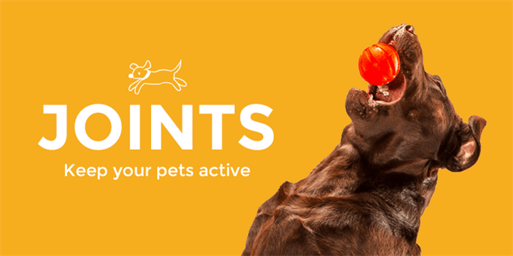 Joints Keep your pets active