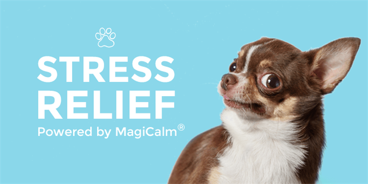 Stress Relief powered by MagiCalm®