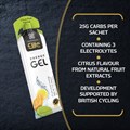 Elite Energy Gel − Citrus Fruit 