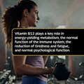 Elite Vitamin B12 