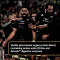 Elite All Blacks Plant Protein Vegan Blend − Vanilla 