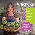 Artichoke 