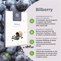 Bilberry 