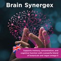 Brain Synergex® 