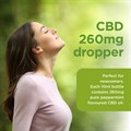 CBD Oil Drops 260mg 