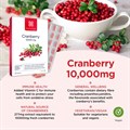 Cranberry 