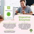 Digestive Enzymes 