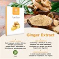 Ginger Extract 