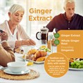 Ginger Extract 