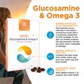 Glucosamine & Omega 3 