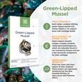 Green−Lipped Mussel 