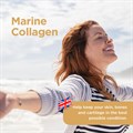 Marine Collagen 