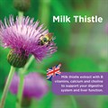 Milk Thistle Liver Support 