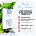 Opti−Magnesium® 