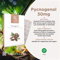 Pycnogenol® 