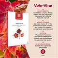 Vein−Vine 