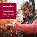 Vein−Vine 