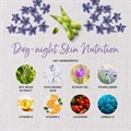 Replenish Day−Night Skin Nutrition Supplement 