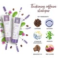 Replenish Thickening Caffeine Shampoo & Conditioner 