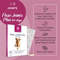 Flexi−Joints Plus 