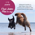 Flexi−Joints Plus 