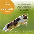 Flexi−Joints for Cats 