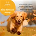 Flexi−Turmeric for Dogs 