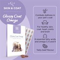 Glossy Coat Omega 