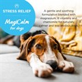 MagiCalm® for Dogs 