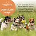 MultiVitality® for Dogs 