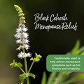 Black Cohosh Menopause Relief 