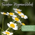 Feverfew Migraine Relief 