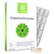 Digestive Enzymes